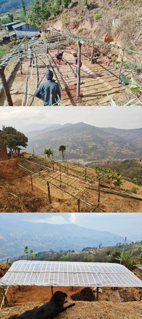 3 different views phase of Ashabhumi Nursery construction and scenic view behind